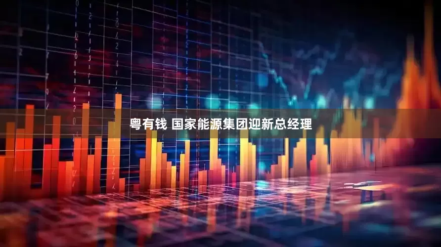 粤有钱 国家能源集团迎新总经理
