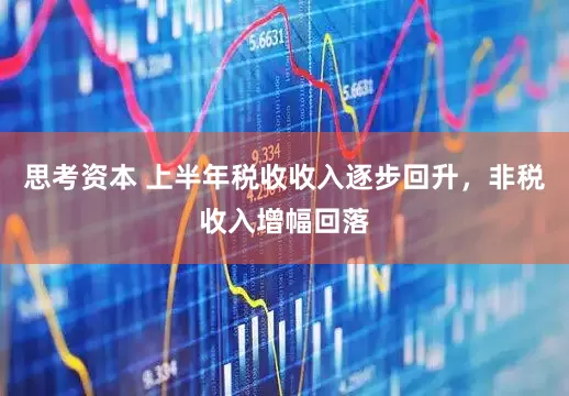 思考资本 上半年税收收入逐步回升，非税收入增幅回落