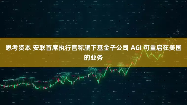 思考资本 安联首席执行官称旗下基金子公司 AGI 可重启在美国的业务