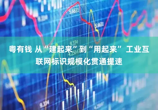 粤有钱 从“建起来”到“用起来” 工业互联网标识规模化贯通提速